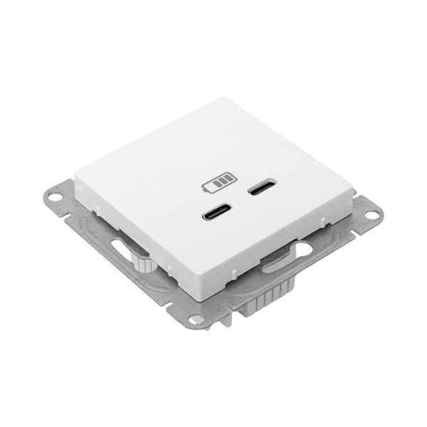 Розетка 2-м СП Эпика USB-C механизм бел. EKF UP1-SOW-2USBC в интернет-магазине Рэмкабель