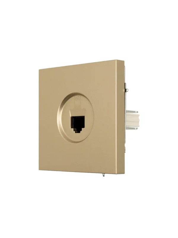 Розетка компьютерная 1-м СП ZIMA IP20 механизм зол. LEZARD 704-3688-140 в интернет-магазине Рэмкабель